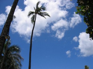2007年から2008 035