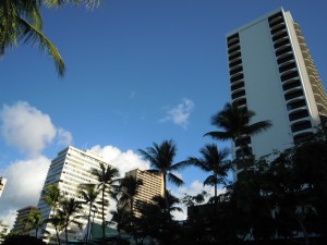 2009 145