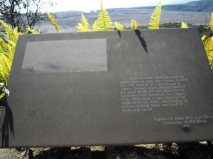 2009 641