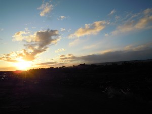 2009 716