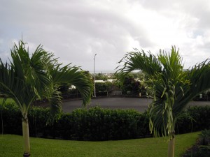 2009 807