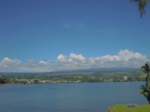 2010 1000