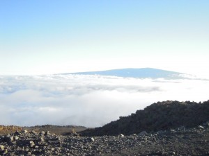 2010 1060