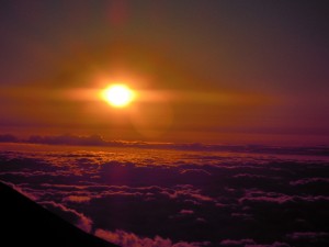2010 1086