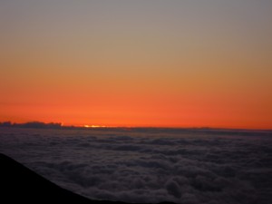 2010 1118