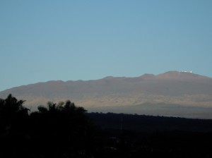 2009 304 2009 304