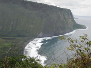 2009 423