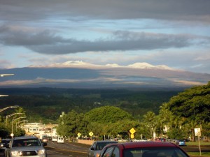 2009 477