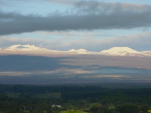2009 478