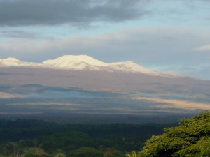 2009 483