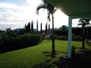 2009 525 2009 525