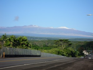 2009 531 2009 531