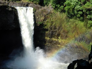 2009 590