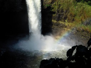 2009 591