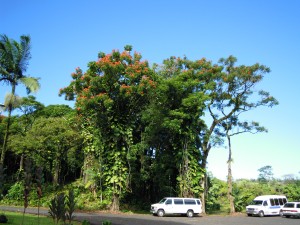 2009 601