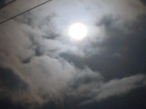 2010SUMMER 095