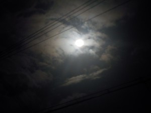 2010SUMMER 096