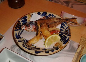 2011-1-10 006