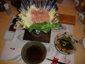 2011-1-10 009
