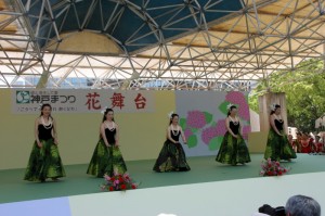 IMG_0081_1