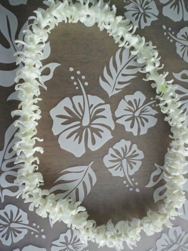 lei1