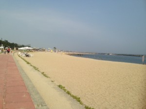 写真 (4)